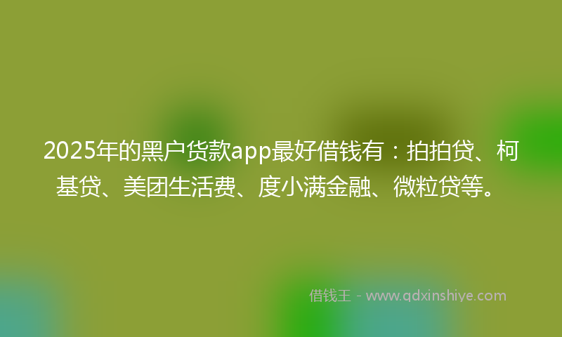 2025年的黑户货款app最好借钱有：拍拍贷、柯基贷、美团生活费、度小满金融、微粒贷等。