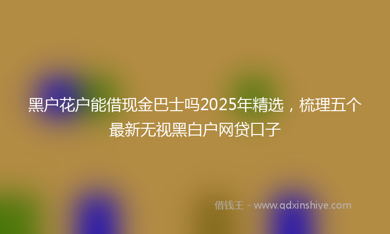 黑户花户能借现金巴士吗2025年精选，梳理五个最新无视黑白户网贷口子