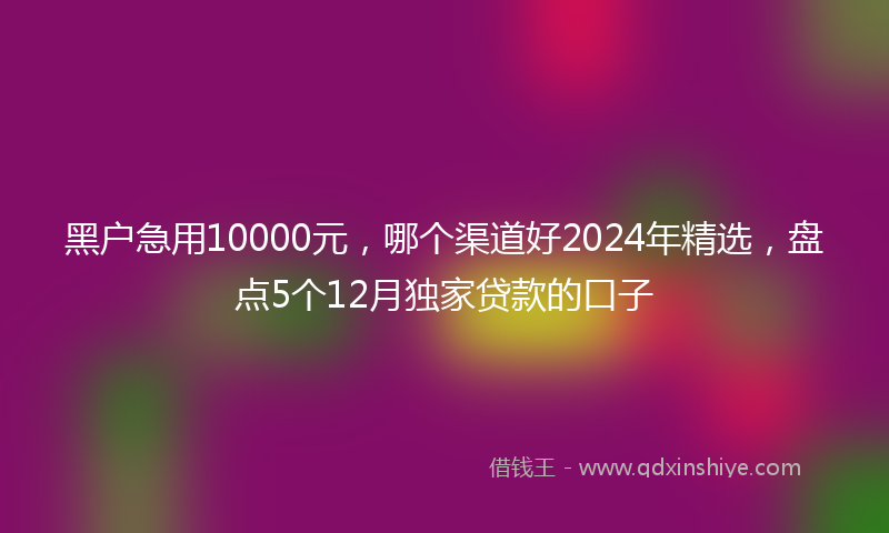 黑户急用10000元，哪个渠道好2024年精选，盘点5个12月独家贷款的口子