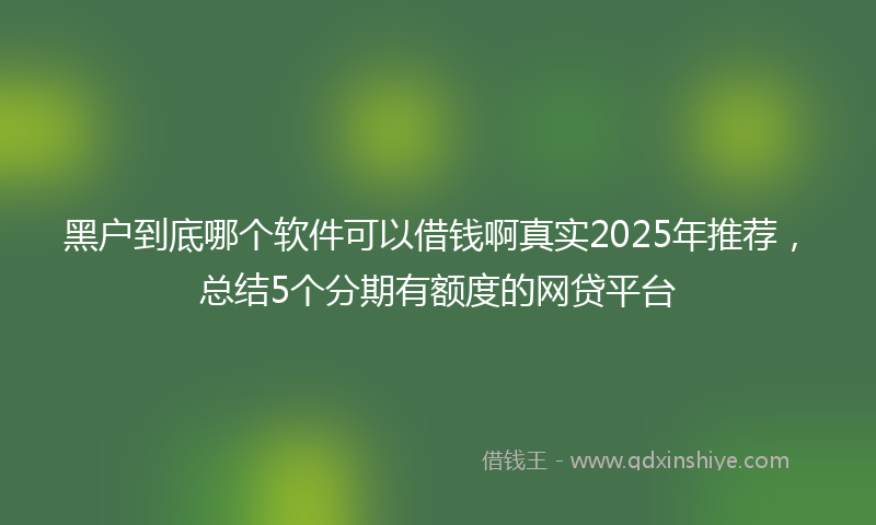 黑户到底哪个软件可以借钱啊真实2025年推荐，总结5个分期有额度的网贷平台