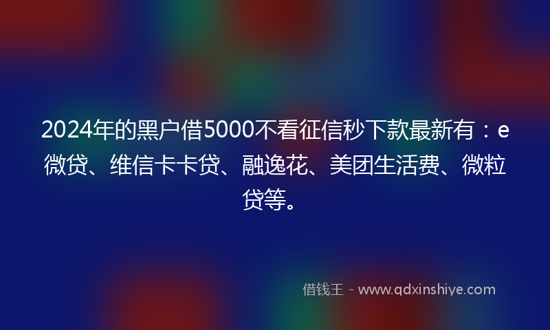 2024年的黑户借5000不看征信秒下款最新有：e微贷、维信卡卡贷、融逸花、美团生活费、微粒贷等。