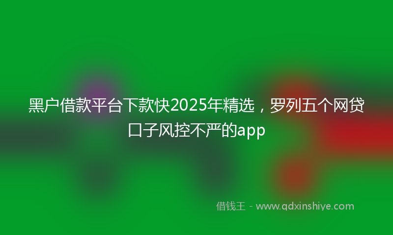 黑户借款平台下款快2025年精选，罗列五个网贷口子风控不严的app