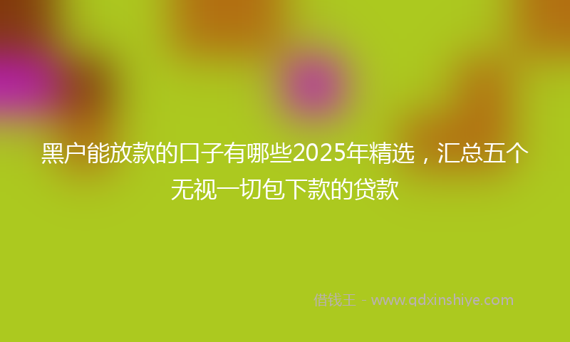 黑户能放款的口子有哪些2025年精选，汇总五个无视一切包下款的贷款