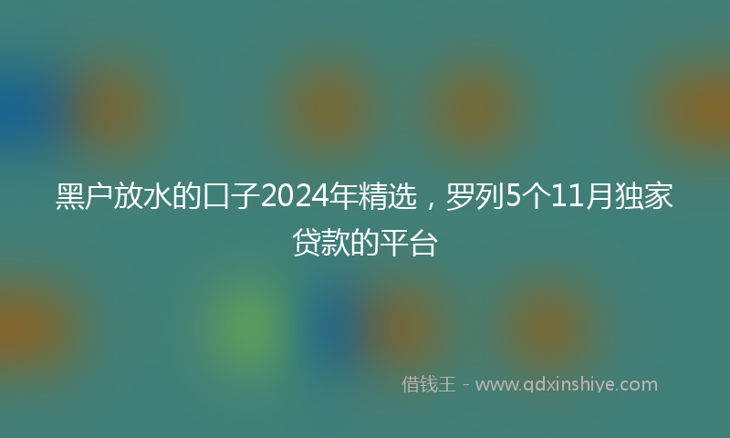黑户放水的口子2024年精选，罗列5个11月独家贷款的平台