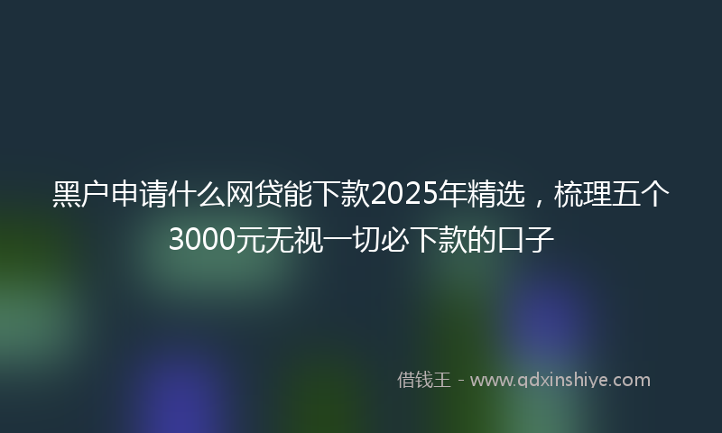 黑户申请什么网贷能下款2025年精选，梳理五个3000元无视一切必下款的口子
