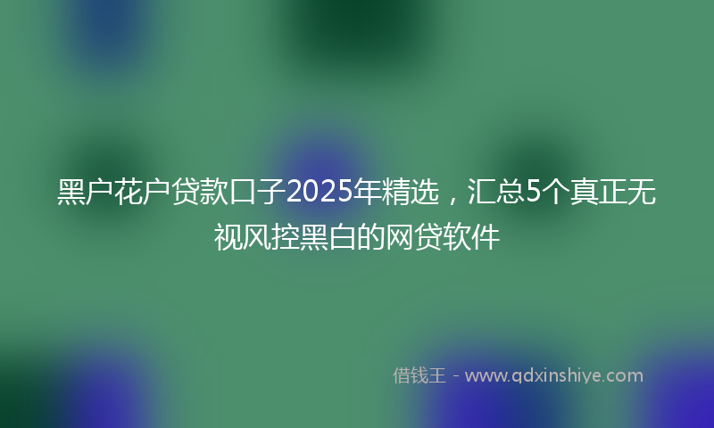 黑户花户贷款口子2025年精选，汇总5个真正无视风控黑白的网贷软件