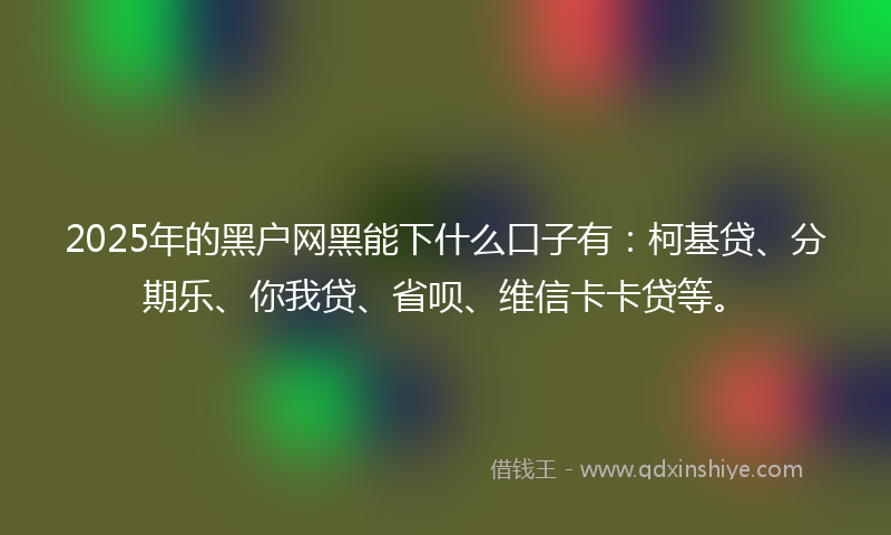 2025年的黑户网黑能下什么口子有：柯基贷、分期乐、你我贷、省呗、维信卡卡贷等。