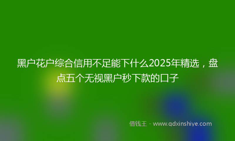 黑户花户综合信用不足能下什么2025年精选，盘点五个无视黑户秒下款的口子