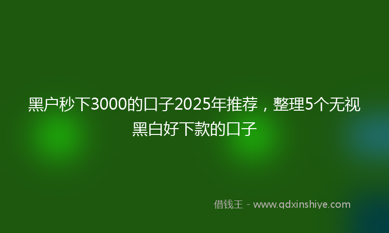 黑户秒下3000的口子2025年推荐，整理5个无视黑白好下款的口子