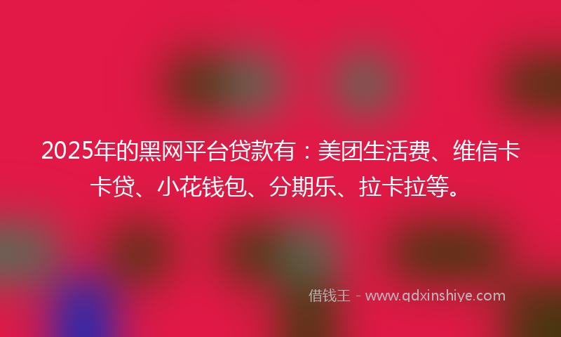 2025年的黑网平台贷款有：美团生活费、维信卡卡贷、小花钱包、分期乐、拉卡拉等。