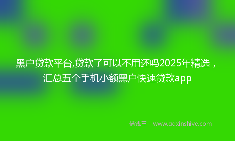 黑户贷款平台,贷款了可以不用还吗2025年精选，汇总五个手机小额黑户快速贷款app