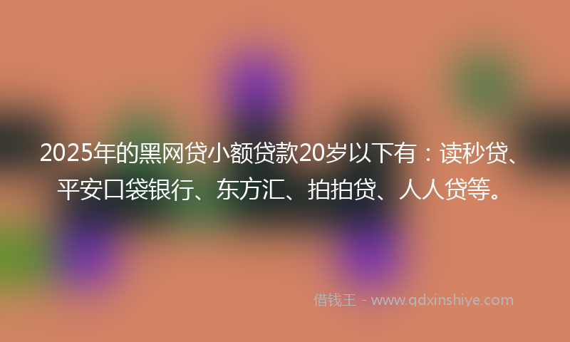2025年的黑网贷小额贷款20岁以下有：读秒贷、平安口袋银行、东方汇、拍拍贷、人人贷等。