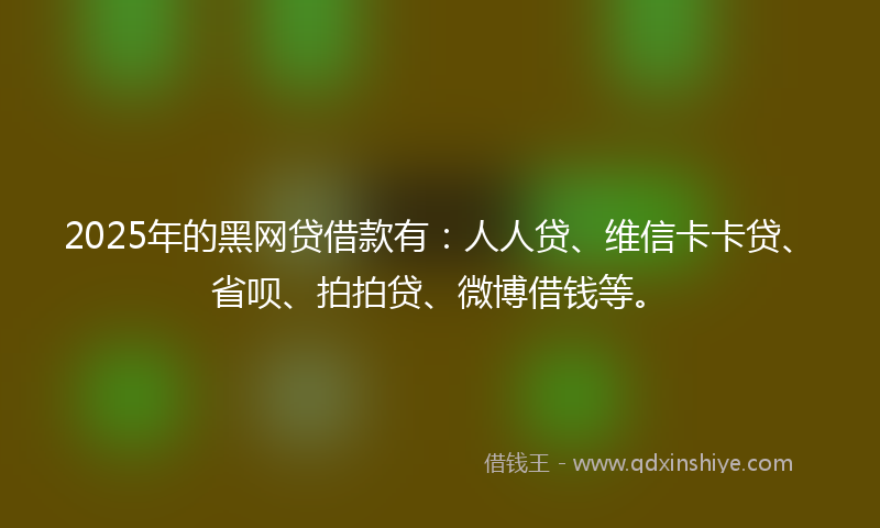 2025年的黑网贷借款有：人人贷、维信卡卡贷、省呗、拍拍贷、微博借钱等。