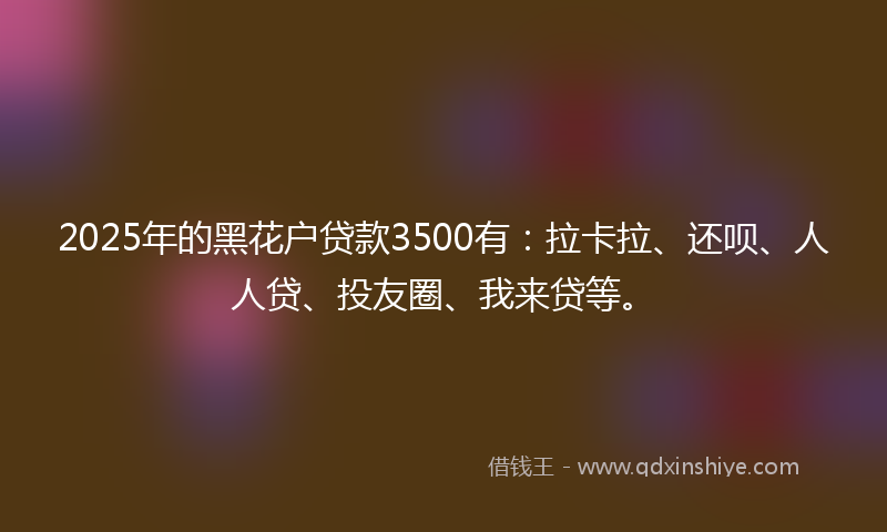 2025年的黑花户贷款3500有：拉卡拉、还呗、人人贷、投友圈、我来贷等。