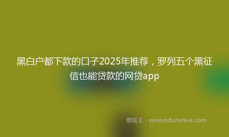 黑白户都下款的口子2025年推荐，罗列五个黑征信也能贷款的网贷app