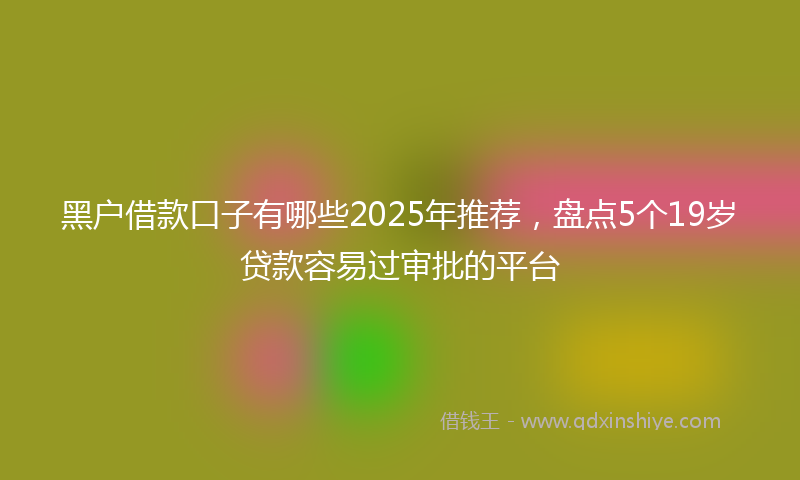 黑户借款口子有哪些2025年推荐，盘点5个19岁贷款容易过审批的平台