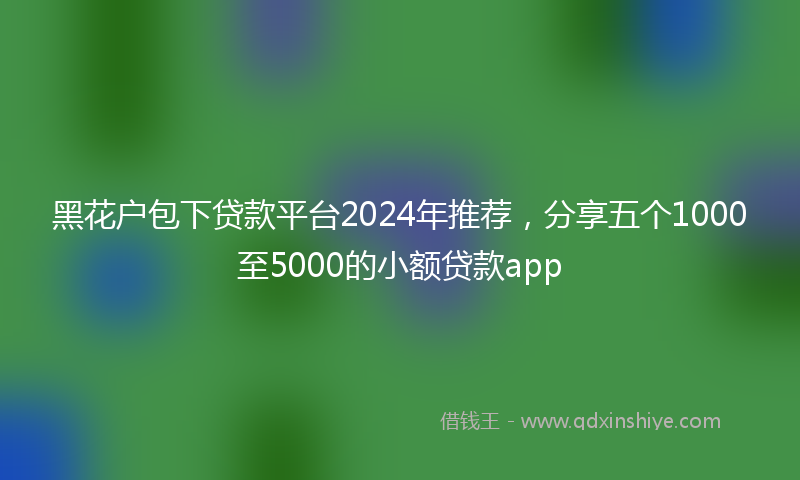 黑花户包下贷款平台2024年推荐，分享五个1000至5000的小额贷款app
