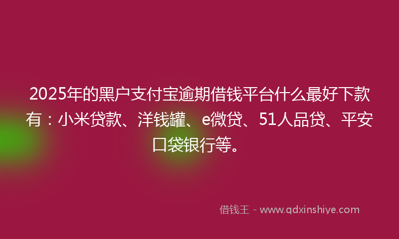 2025年的黑户支付宝逾期借钱平台什么最好下款有：小米贷款、洋钱罐、e微贷、51人品贷、平安口袋银行等。