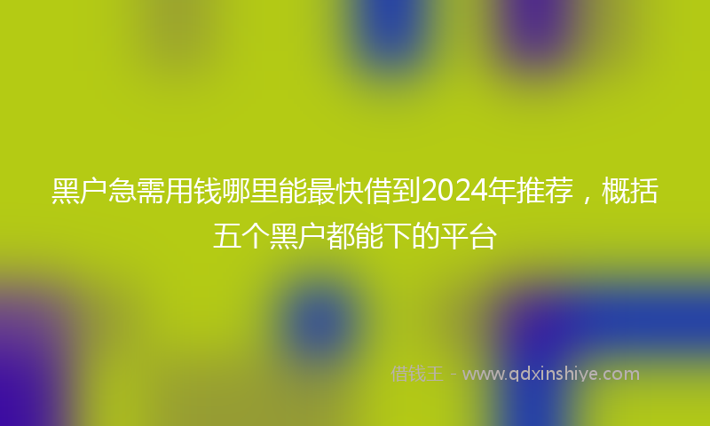 黑户急需用钱哪里能最快借到2024年推荐，概括五个黑户都能下的平台