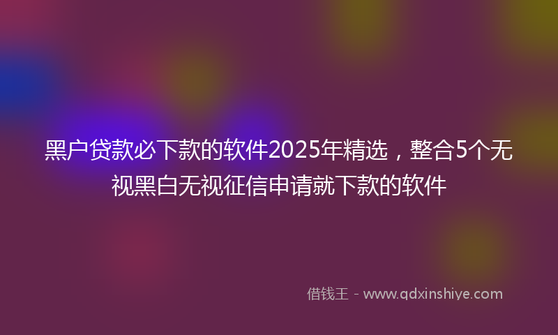 黑户贷款必下款的软件2025年精选，整合5个无视黑白无视征信申请就下款的软件