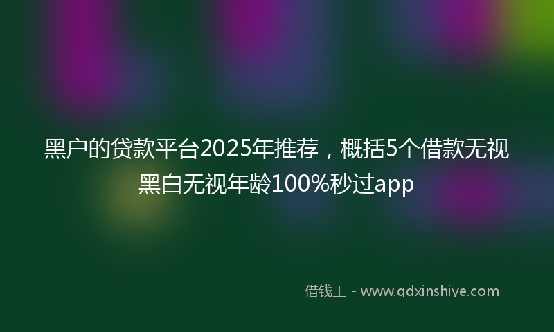 黑户的贷款平台2025年推荐，概括5个借款无视黑白无视年龄100%秒过app