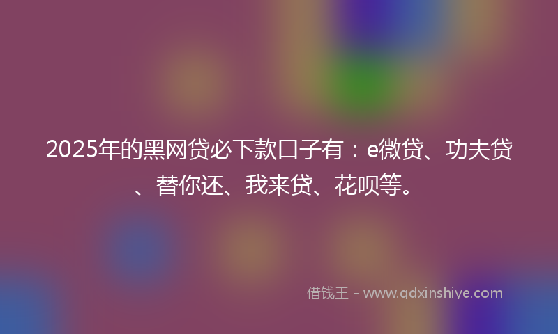 2025年的黑网贷必下款口子有：e微贷、功夫贷、替你还、我来贷、花呗等。