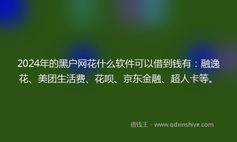 2024年的黑户网花什么软件可以借到钱有：融逸花、美团生活费、花呗、京东金融、超人卡等。