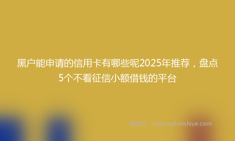 黑户能申请的信用卡有哪些呢2025年推荐，盘点5个不看征信小额借钱的平台