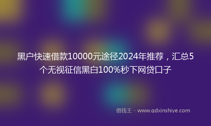 黑户快速借款10000元途径2024年推荐，汇总5个无视征信黑白100%秒下网贷口子