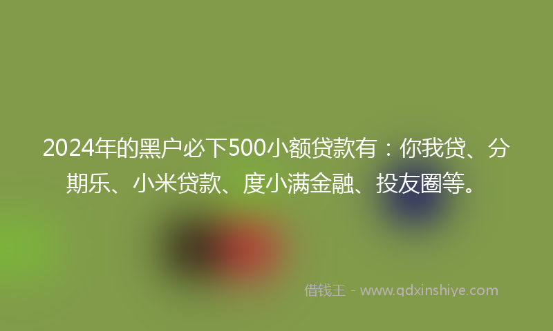 2024年的黑户必下500小额贷款有：你我贷、分期乐、小米贷款、度小满金融、投友圈等。