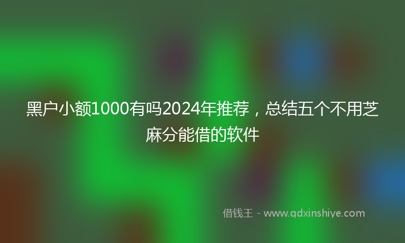 黑户小额1000有吗2024年推荐，总结五个不用芝麻分能借的软件