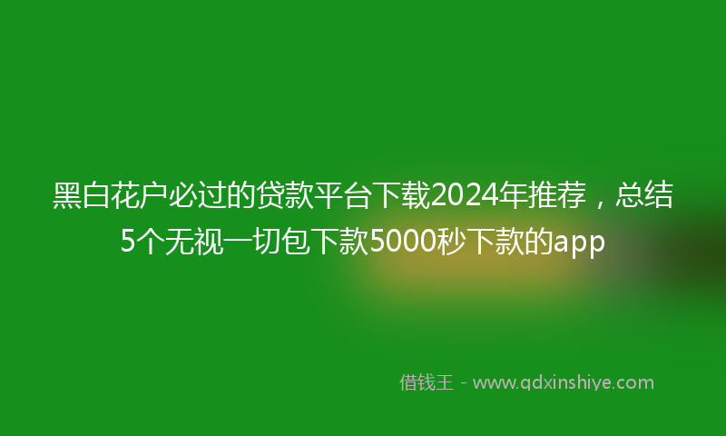 黑白花户必过的贷款平台下载2024年推荐，总结5个无视一切包下款5000秒下款的app