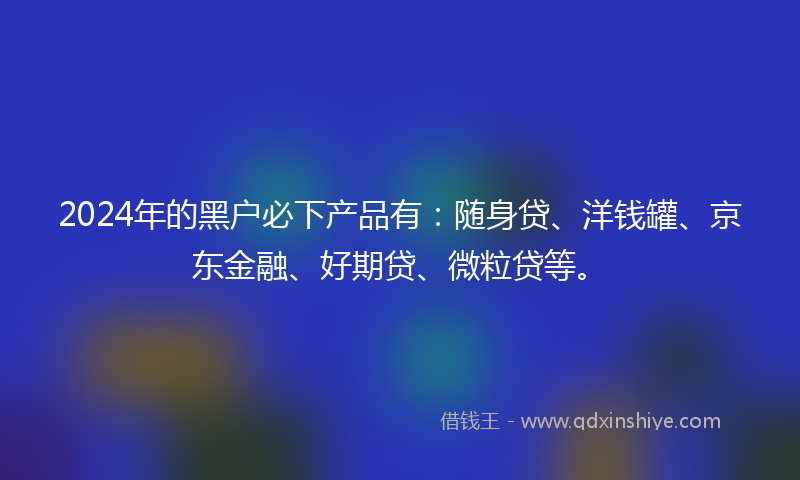 2024年的黑户必下产品有：随身贷、洋钱罐、京东金融、好期贷、微粒贷等。