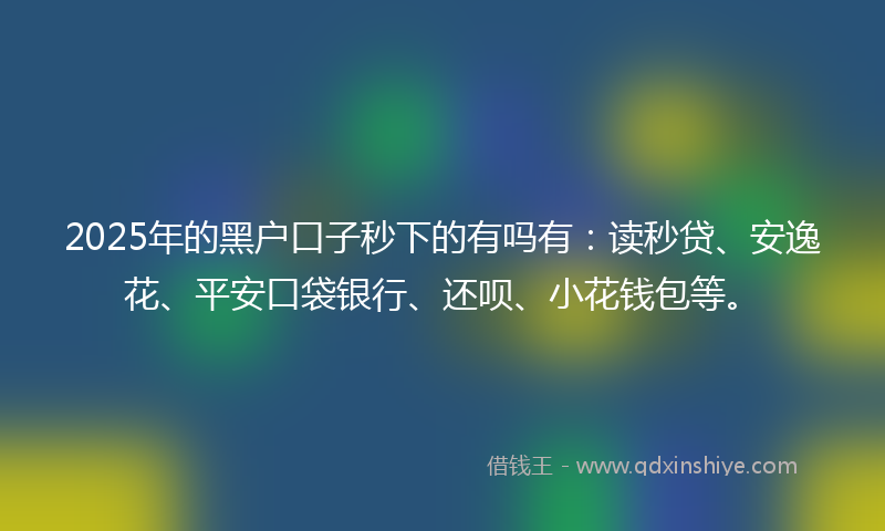 2025年的黑户口子秒下的有吗有：读秒贷、安逸花、平安口袋银行、还呗、小花钱包等。