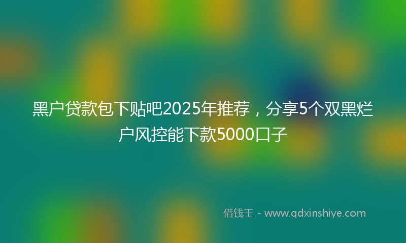 黑户贷款包下贴吧2025年推荐，分享5个双黑烂户风控能下款5000口子