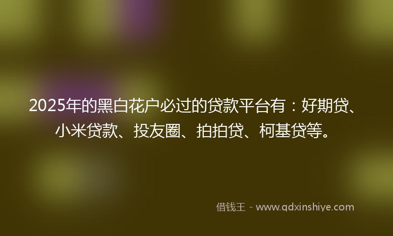 2025年的黑白花户必过的贷款平台有：好期贷、小米贷款、投友圈、拍拍贷、柯基贷等。