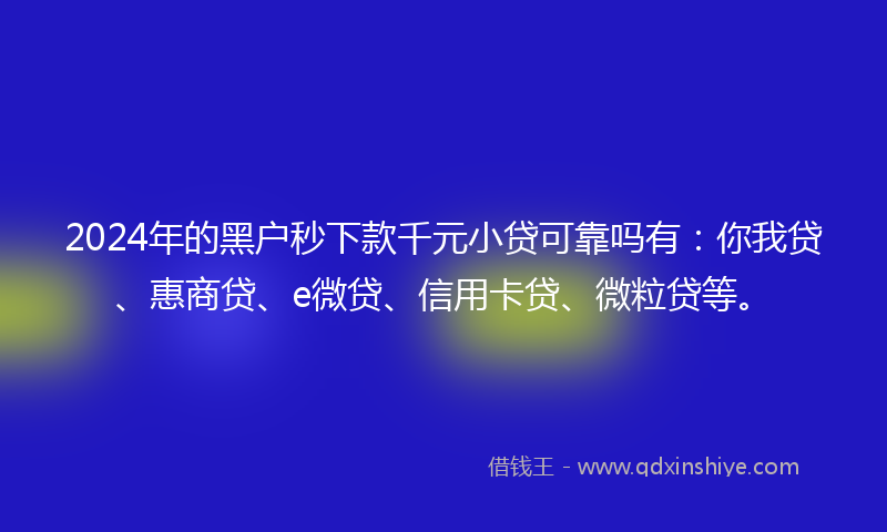 2024年的黑户秒下款千元小贷可靠吗有：你我贷、惠商贷、e微贷、信用卡贷、微粒贷等。