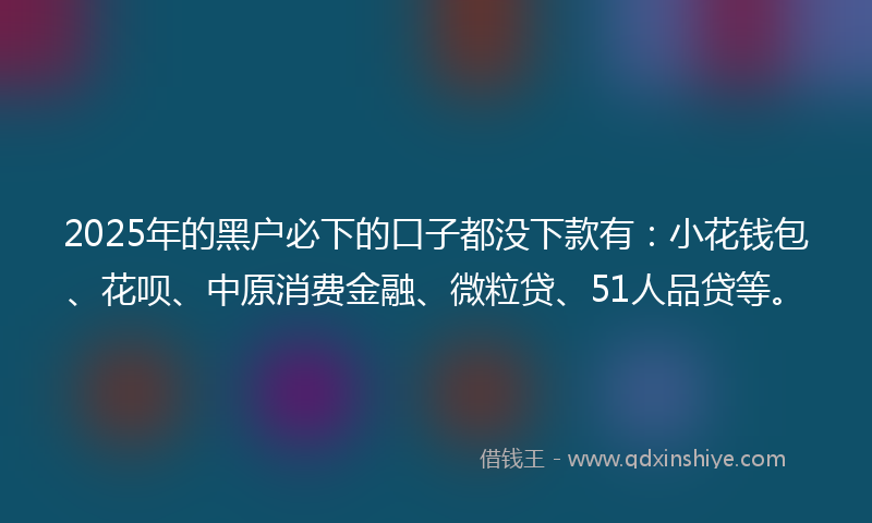 2025年的黑户必下的口子都没下款有：小花钱包、花呗、中原消费金融、微粒贷、51人品贷等。