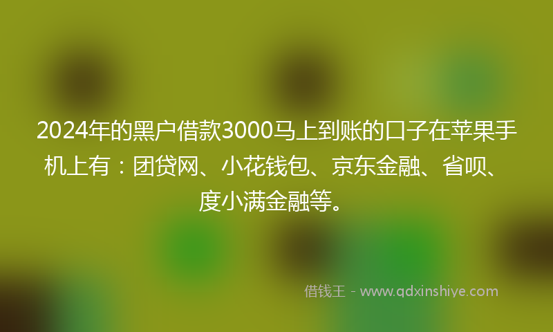 2024年的黑户借款3000马上到账的口子在苹果手机上有：团贷网、小花钱包、京东金融、省呗、度小满金融等。
