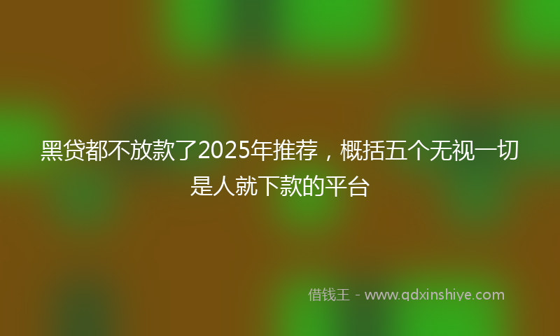 黑贷都不放款了2025年推荐，概括五个无视一切是人就下款的平台