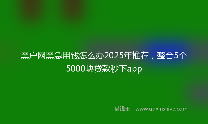 黑户网黑急用钱怎么办2025年推荐，整合5个5000块贷款秒下app