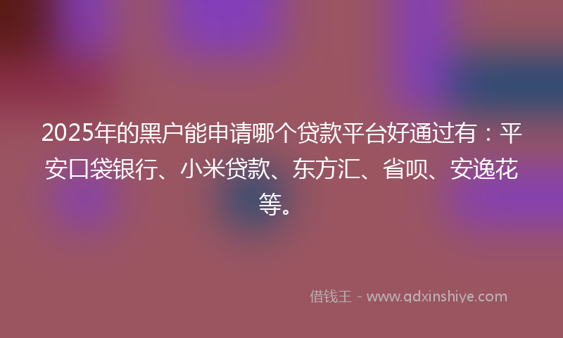 2025年的黑户能申请哪个贷款平台好通过有：平安口袋银行、小米贷款、东方汇、省呗、安逸花等。