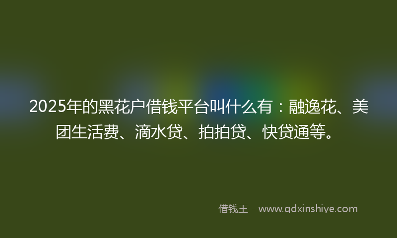 2025年的黑花户借钱平台叫什么有：融逸花、美团生活费、滴水贷、拍拍贷、快贷通等。