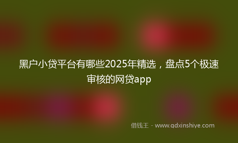 黑户小贷平台有哪些2025年精选，盘点5个极速审核的网贷app