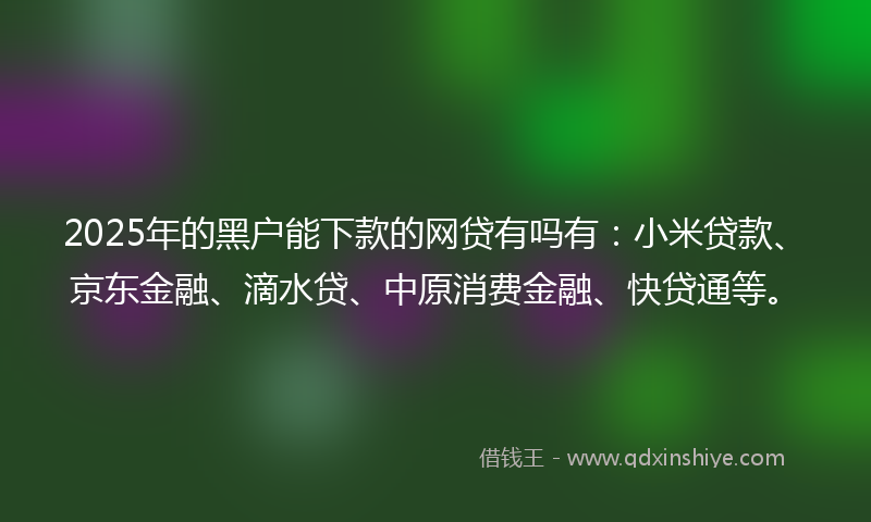 2025年的黑户能下款的网贷有吗有：小米贷款、京东金融、滴水贷、中原消费金融、快贷通等。
