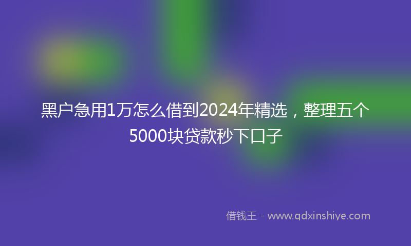黑户急用1万怎么借到2024年精选，整理五个5000块贷款秒下口子