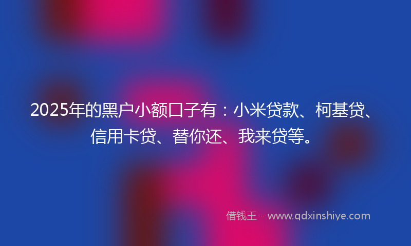 2025年的黑户小额口子有：小米贷款、柯基贷、信用卡贷、替你还、我来贷等。