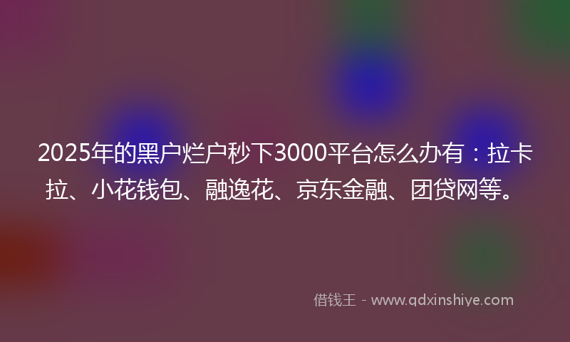 2025年的黑户烂户秒下3000平台怎么办有：拉卡拉、小花钱包、融逸花、京东金融、团贷网等。