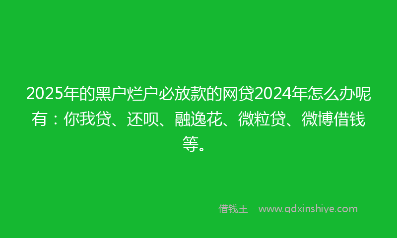2025年的黑户烂户必放款的网贷2024年怎么办呢有：你我贷、还呗、融逸花、微粒贷、微博借钱等。