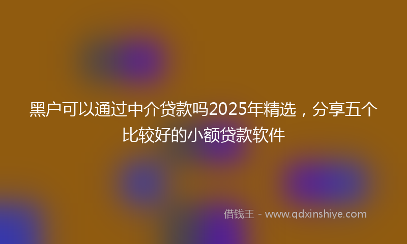 黑户可以通过中介贷款吗2025年精选，分享五个比较好的小额贷款软件